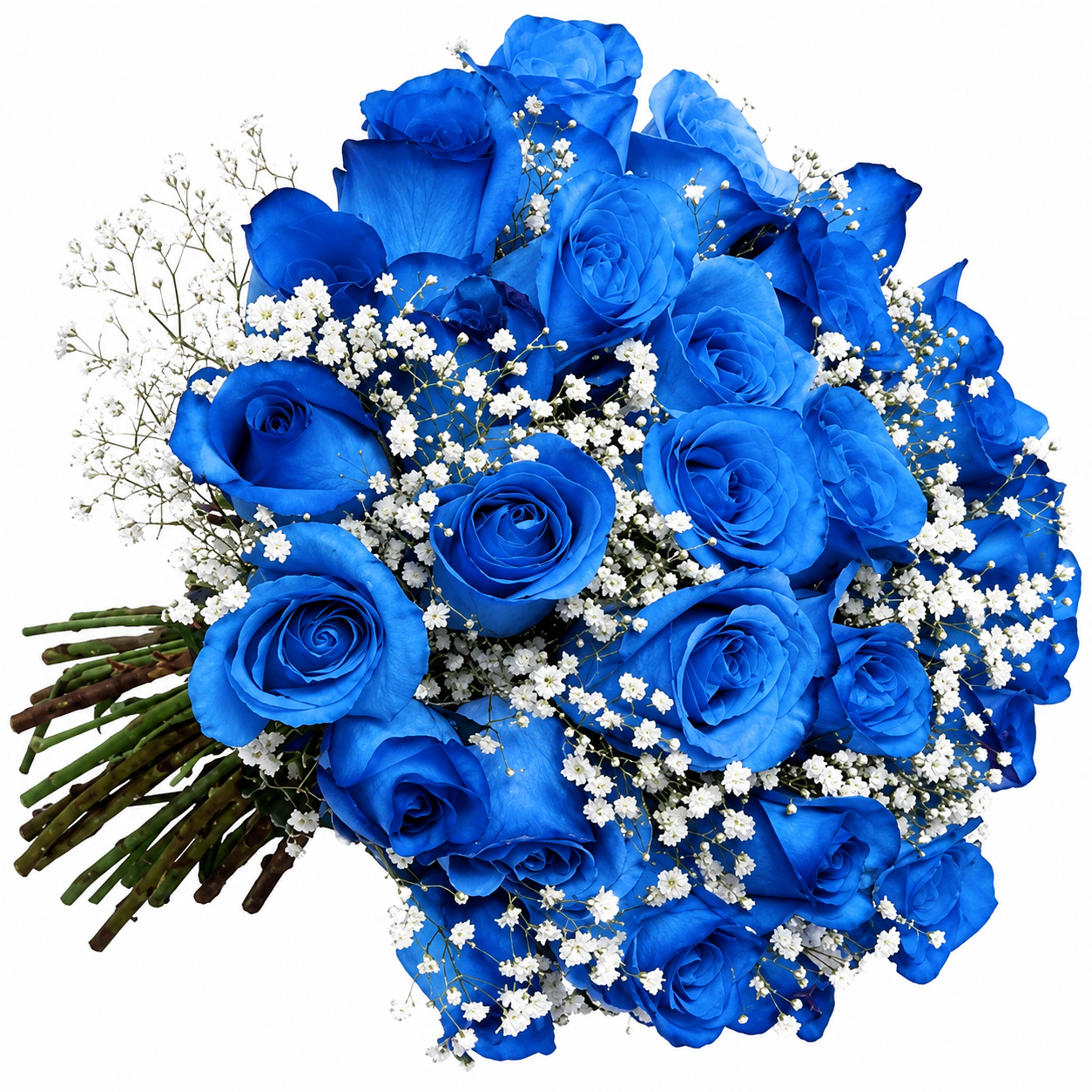 Buqu� de 20 Rosas Azuis 