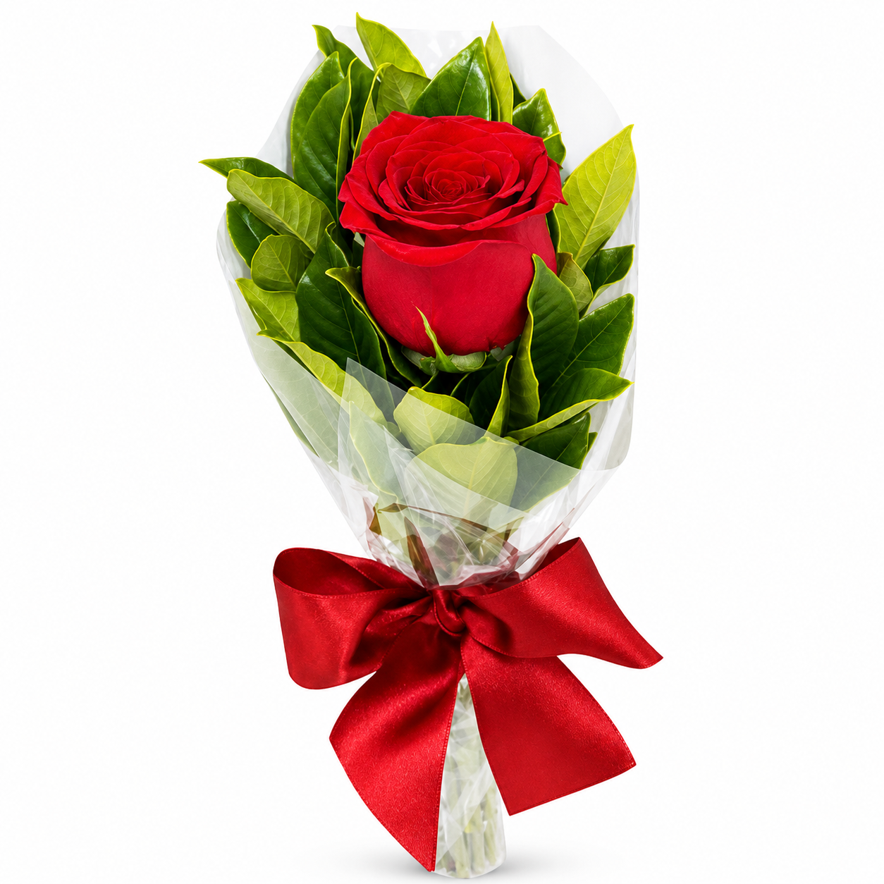 Rosa Decorada