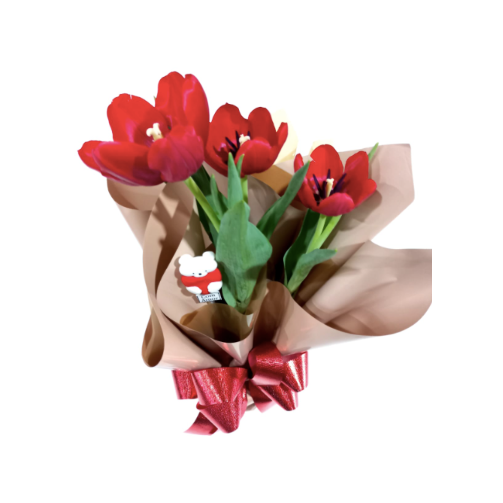 Tulipa